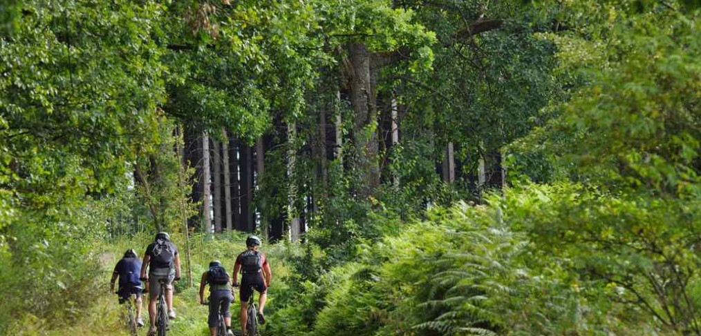 Fietsen-bossen-omgeving-vakantiehuis-Ardennen