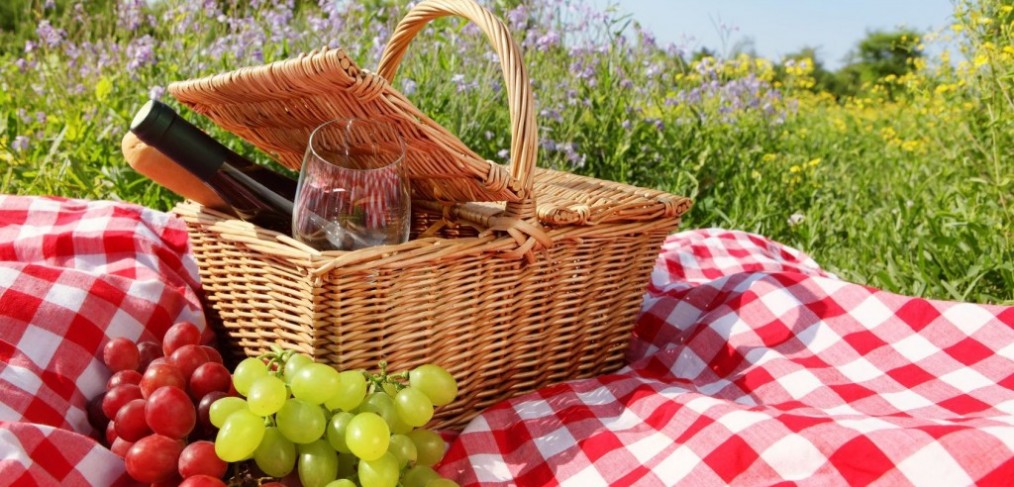 picknicken--natuur-mooi weer